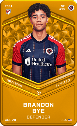 Brandon Bye - limited