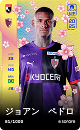 João Pedro - limited