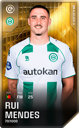 Rui Mendes - limited