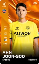 Ahn Joon Soo - limited