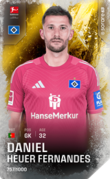 Daniel Heuer Fernandes - limited