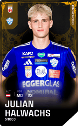 Julian Halwachs - limited