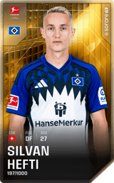 Silvan Hefti - limited