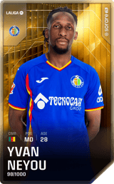 Yvan Neyou - limited