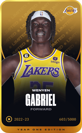 Wenyen Gabriel - limited