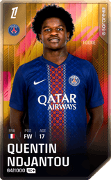 Quentin Ndjantou - limited