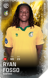 Ryan Fosso - limited