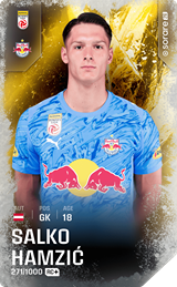 Salko Hamzić - limited