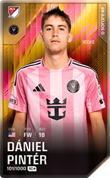Dániel Pintér - limited