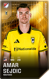 Amar Sejdić - limited