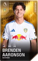 Brenden Aaronson - limited