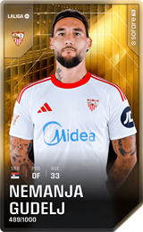 Nemanja Gudelj - limited