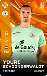 Youri Schoonderwaldt - limited