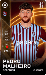 Pedro Malheiro - limited