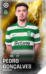 Pedro Gonçalves - limited