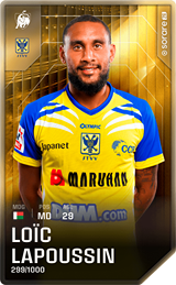 Loïc Lapoussin - limited