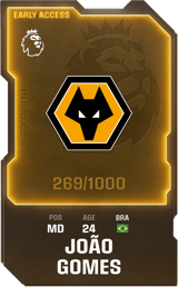 João Gomes - limited