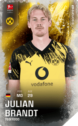 Julian Brandt - limited