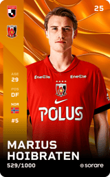 MARIUS HOIBRATEN - limited