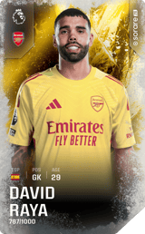 David Raya - limited