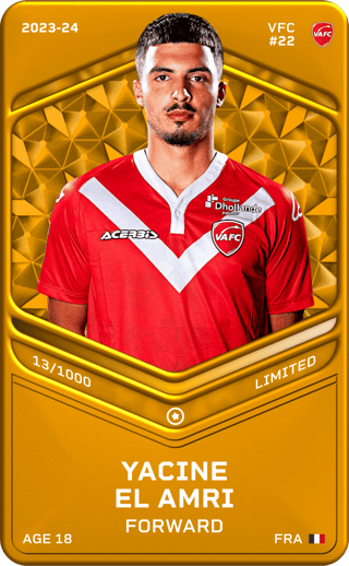 Yacine El Amri - limited