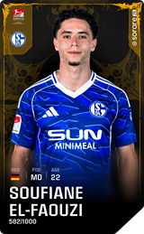 Soufian El-Faouzi - limited