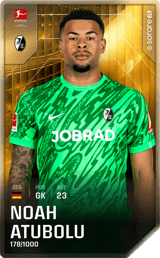 Noah Atubolu - limited