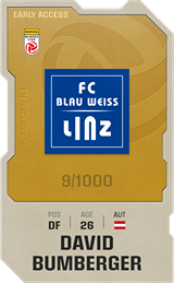 David Bumberger - limited