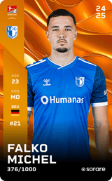 Falko Michel - limited