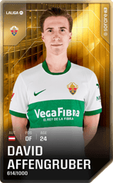 David Affengruber - limited