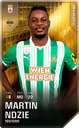 Martin Ndzie - limited