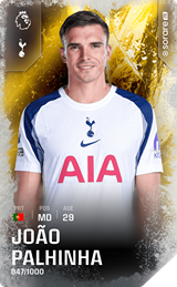 João Palhinha - limited