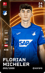 Florian Micheler - limited