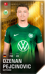 Dženan Pejčinović - limited