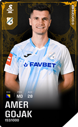 Amer Gojak - limited