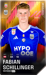 Fabian Schillinger - limited