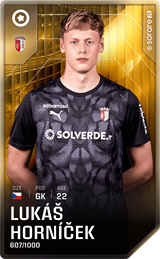 Lukáš Horníček - limited