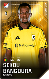 Sekou Bangoura - limited