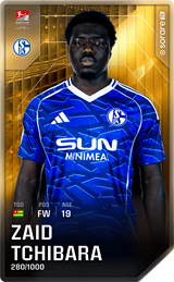 Zaid Amoussou-Tchibara - limited