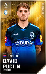 David Puclin - limited