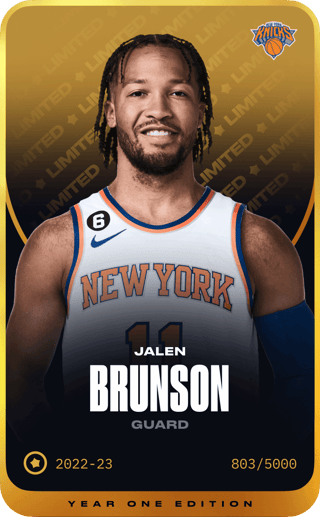 Jalen Brunson - limited