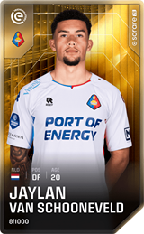 Jaylan van Schooneveld - limited