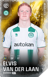 Elvis van der Laan - limited