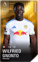 Wilfried Gnonto - limited
