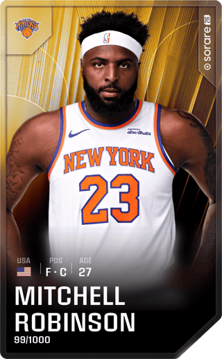 Mitchell Robinson - limited