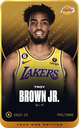 Troy Brown Jr. - limited