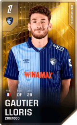 Gautier Lloris - limited