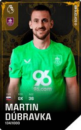 Martin Dúbravka - limited