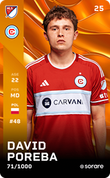 Dawid Poręba - limited