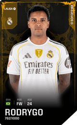 Rodrygo - limited